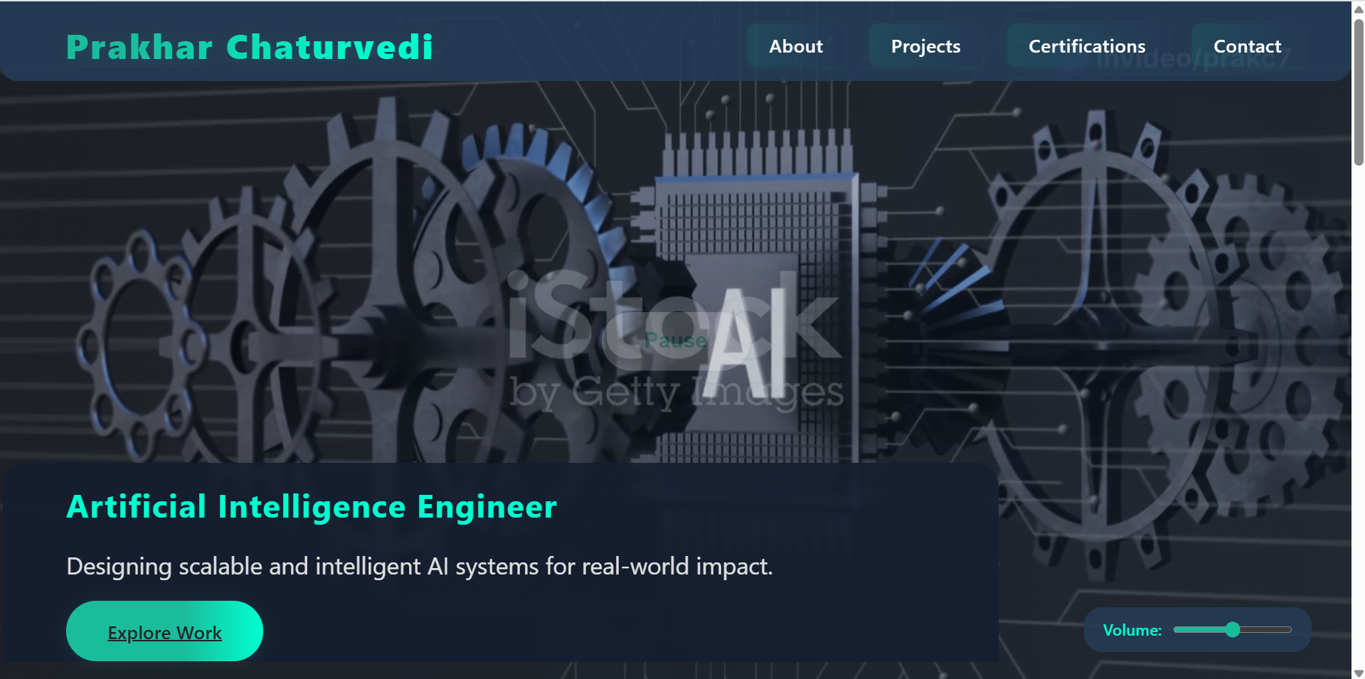 Portfolio